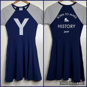 Hot Topic Yuri on Ice Raglan Skater Dress Size Small Anime Cosplay Blue Gray